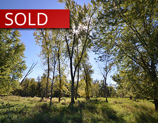 221 Acres Benton County