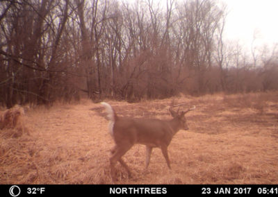 105 Acres for Sale in Tama County, Iowa