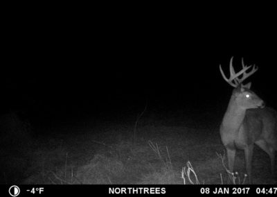 105 Acres for Sale in Tama County, Iowa