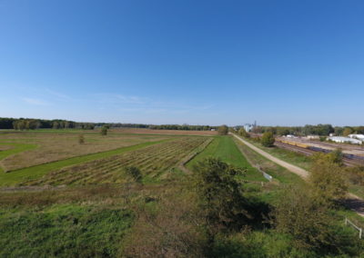 146 Acres For Sale | Tama County, Iowa