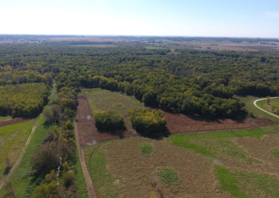 146 Acres For Sale | Tama County, Iowa
