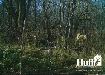 160 Acres for Sale in Butler County, Iowa