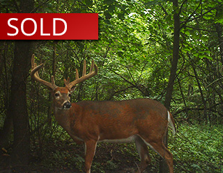 96 Acres Fayette County