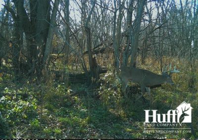 160 Acres for Sale in Butler County, Iowa