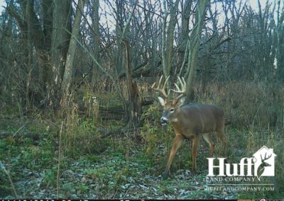 160 Acres for Sale in Butler County, Iowa