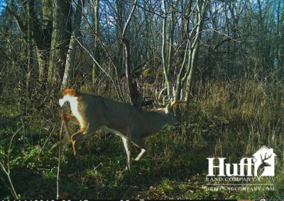 160 Acres for Sale in Butler County, Iowa