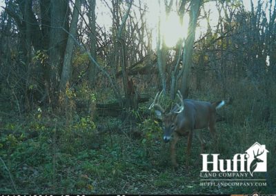 160 Acres for Sale in Butler County, Iowa