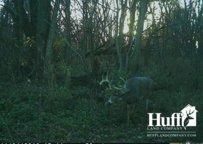 160 Acres for Sale in Butler County, Iowa