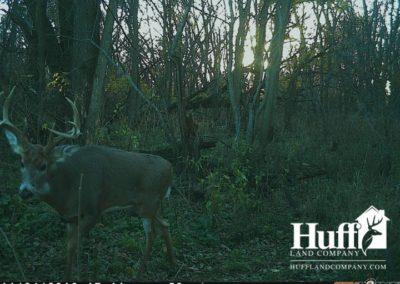 160 Acres for Sale in Butler County, Iowa