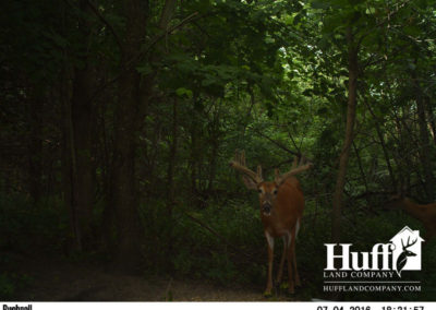 96 Acres | Fayette County, Iowa