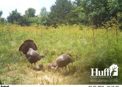 96 Acres | Fayette County, Iowa