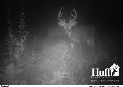 96 Acres | Fayette County, Iowa