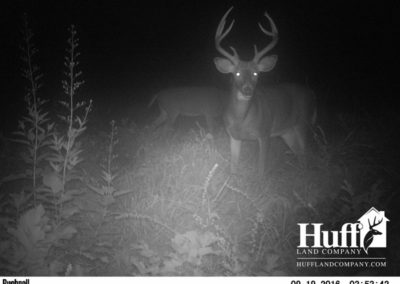 96 Acres | Fayette County, Iowa