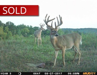 100 Acres Monroe County