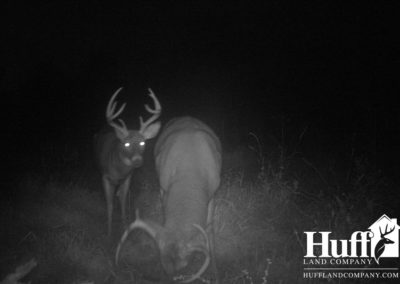 96 Acres | Fayette County, Iowa