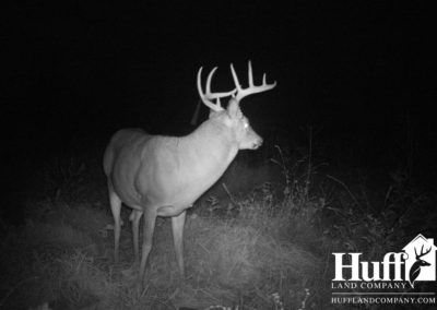 96 Acres | Fayette County, Iowa