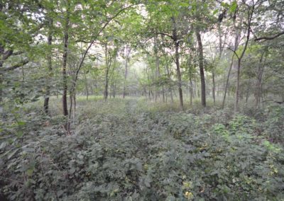 72 Acres | Butler County, Iowa