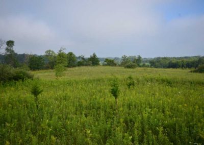 72 Acres | Butler County, Iowa