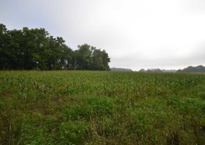 72 Acres | Butler County, Iowa