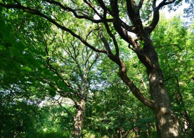72 Acres | Butler County, Iowa
