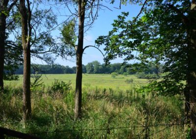 72 Acres | Butler County, Iowa