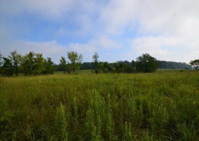 72 Acres | Butler County, Iowa