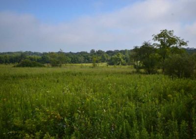 72 Acres | Butler County, Iowa
