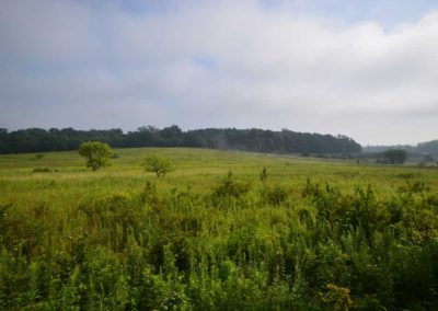 72 Acres | Butler County, Iowa