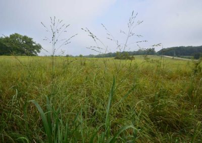72 Acres | Butler County, Iowa