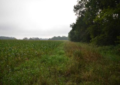 72 Acres | Butler County, Iowa