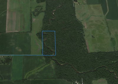 Bremer County Iowa | 20 Acres for Sale