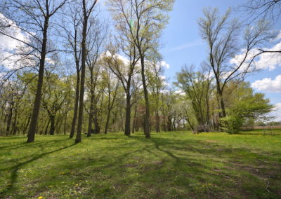 Bremer County Iowa | 20 Acres for Sale