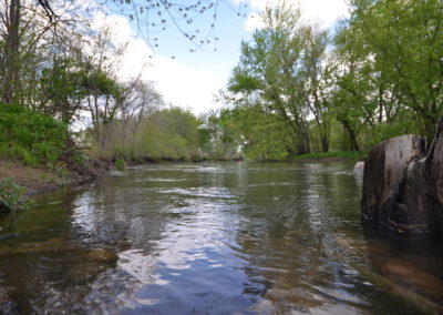 Bremer County Iowa | 20 Acres for Sale