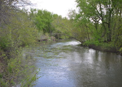 Bremer County Iowa | 20 Acres for Sale