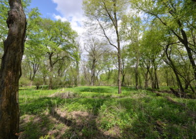 Bremer County Iowa | 20 Acres for Sale