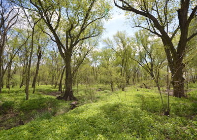 Bremer County Iowa | 20 Acres for Sale