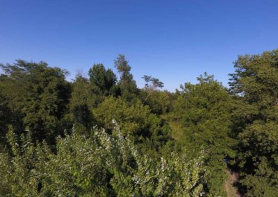 31 Acres | Butler County, Iowa