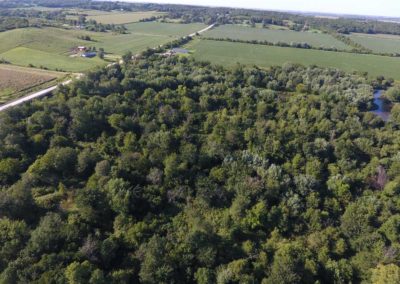 31 Acres | Butler County, Iowa