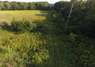 38 Acres | Butler County, Iowa