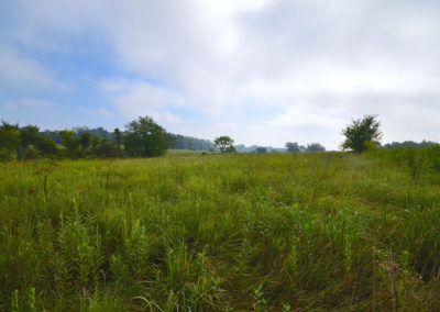 72 Acres | Butler County, Iowa