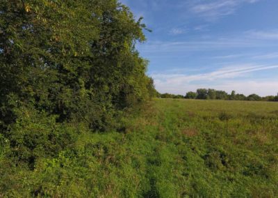 28 Acres | Butler County, Iowa