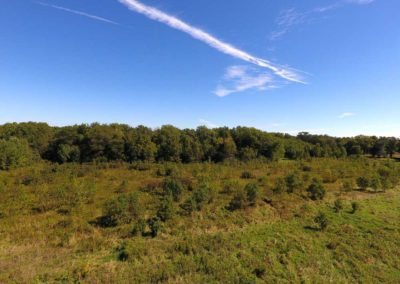 160 Acres | Butler County, Iowa