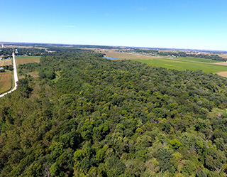 160 Acres | Butler County, Iowa