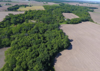 158 Acres Black Hawk County