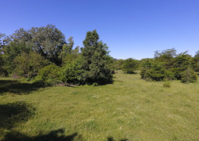 158 Acres Black Hawk County