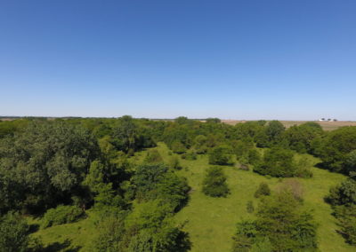 158 Acres Black Hawk County