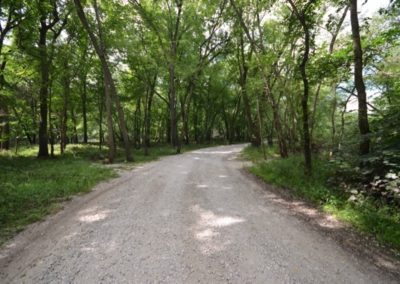 279 Acres | Greenlee Property | Buchanan County Iowa