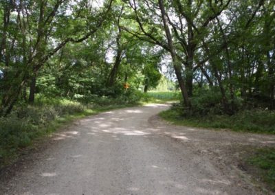 279 Acres | Greenlee Property | Buchanan County Iowa