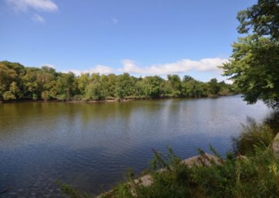 279 Acres | Greenlee Property | Buchanan County Iowa