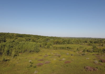 60 Acres North | Monroe County | Iowa Hunting Land For Sale